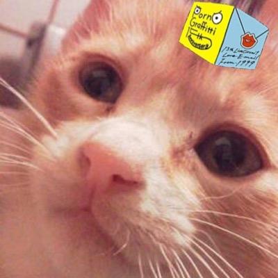 74ersha_92's profile picture. ポルノと車が好き 猫とMWAMも