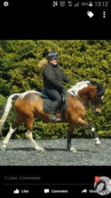 UrchSarah's profile picture. 