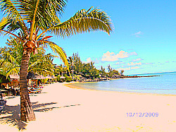 mauritiushols's profile picture. My passion is selling Mauritius Holidays. What a beautiful island this is. Fabulous scenery, amazing people. What more could you wish for