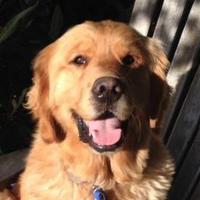 Hotch Esary (@hotchesary) 's Twitter Profile