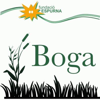 restaurante inclusivo de la Fundacio Espurna de la CV creado para dar trabajo y formar a personas con discapacidad Intelectual