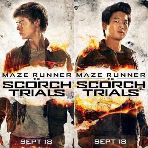 I think I'm going to die if I don't watch The Scorch Trials right now