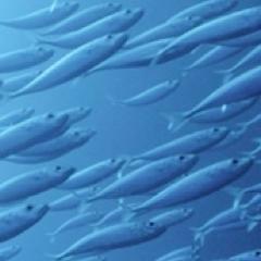 EU Water & Science Profile