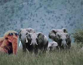 gadgegroups's profile picture. I'm more than just pop culture. This Twitter account isn't.