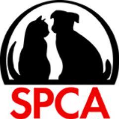 We have dedicated over 30 years of love, care and protection for homeless animals. We are a non-profit, no-kill shelter.