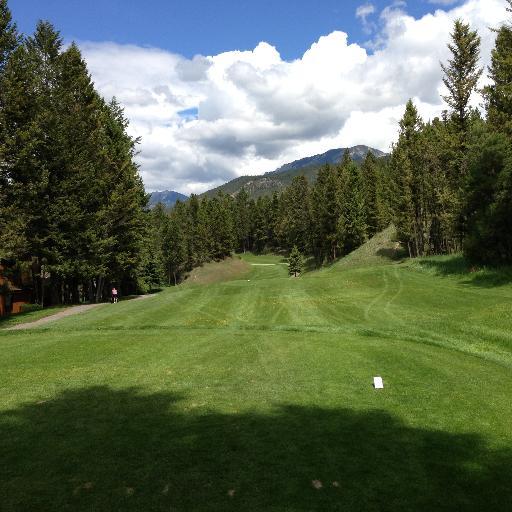 becustomgolf's profile picture. Custom Club Fitting, Design and Repairs