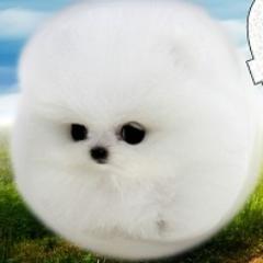 Nana Fluff's Storytimeさんのプロフィール画像