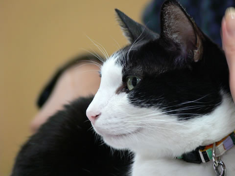 mochi_taffy's profile picture. 準備は全て整いました🍇🍇🍇