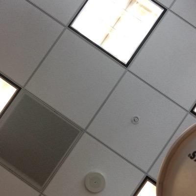 deneear110's profile picture. 