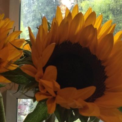 RamsbottomMum's profile picture. Love living in Ramsbottom, mum, wife, worker, complete self confessed book worm