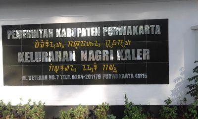 Kelurahan Nagrikaler