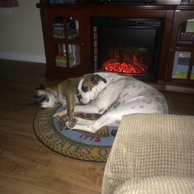 susanlmanley's profile picture. https://t.co/jMrNKRnPMx