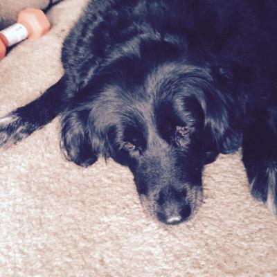 talbotj344's profile picture. 