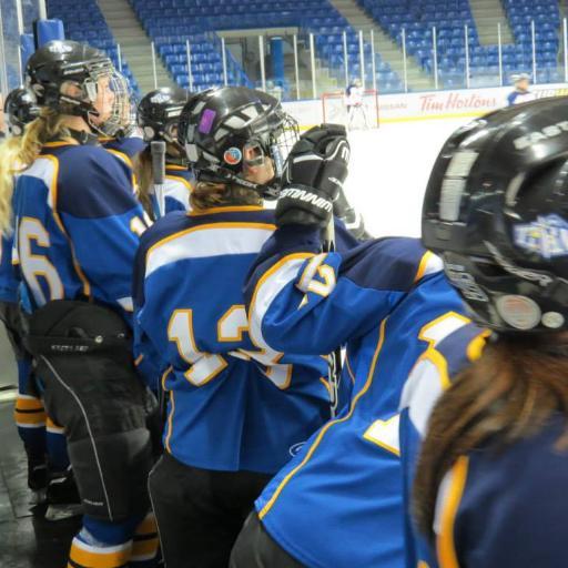 Official page for the TWU Titans Female Hockey Team