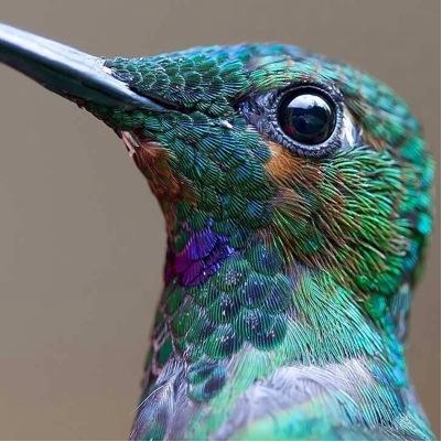Vibrando con el Universoさんのプロフィール画像