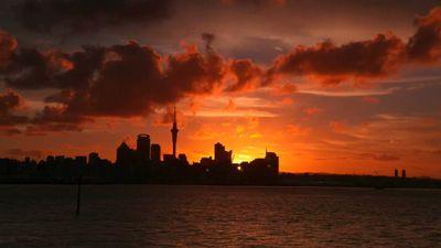 zoppo1369's profile picture. 