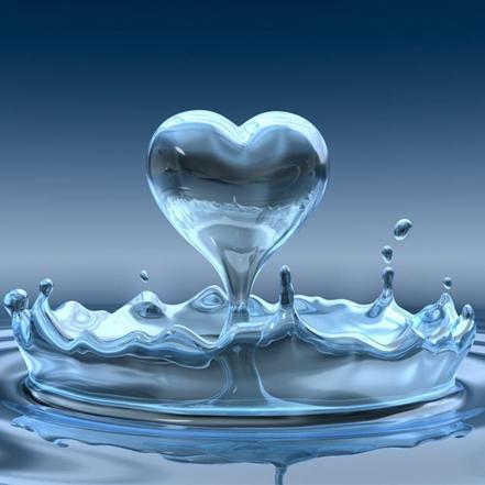 hodam_po_zici's profile picture. 