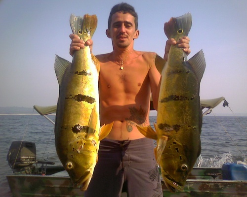 Neto_Prado's profile picture. 