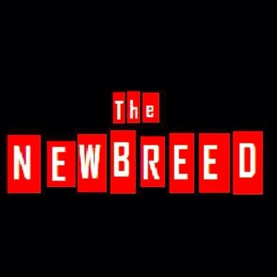 THE NEWBREED are an up and coming Alternative rock band from North Devon who play both originals and covers known for their highly energetic stage presence