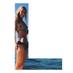 Lita Huber (@litahuber) Twitter profile photo Lita Huber (@litahuber) Twitter profile photo