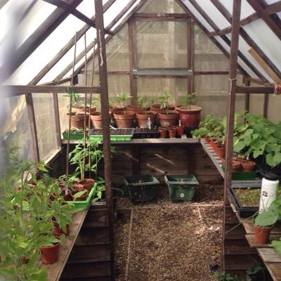 JonWatts3's profile picture. 