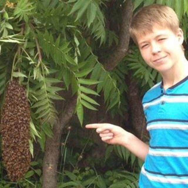 Im a 17 year old beekeeper with a life of fun and adventure (no stress screaming and shouting) with a bit about the business if there are enough characters.
