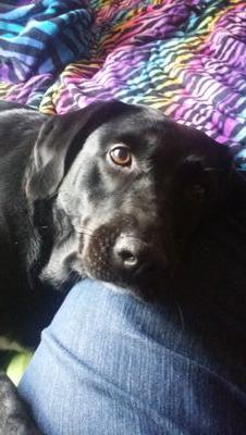 UnrulyHeart91's profile picture. She/Her 🏳️‍🌈• BLM•Dog Mom 🐶🐾•Book Nerd 📚• Disney Nerd•Harry Potter Nerd ⚡️•Craft Lover ✨#Tarlos is Endgame