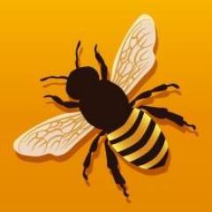 NatBasil's profile picture. Illustrator / Vector Artist