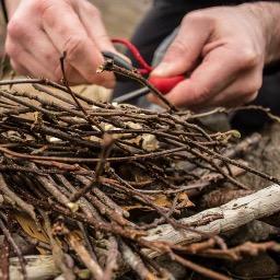 Offering foraging & outdoor cooking courses around Hilltown House, IRE. Passionate about seasonal, delicious wild foods #GrandmaKnewBest profile pic © C. Burge