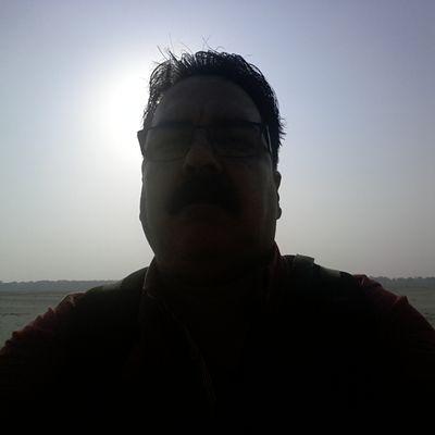 maheshsareeen's profile picture. 