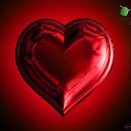 mscit23's profile picture. 