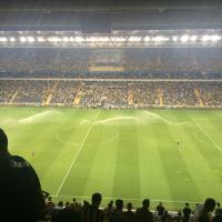 serdar yaman (@srdryaman) 's Twitter Profile Photo