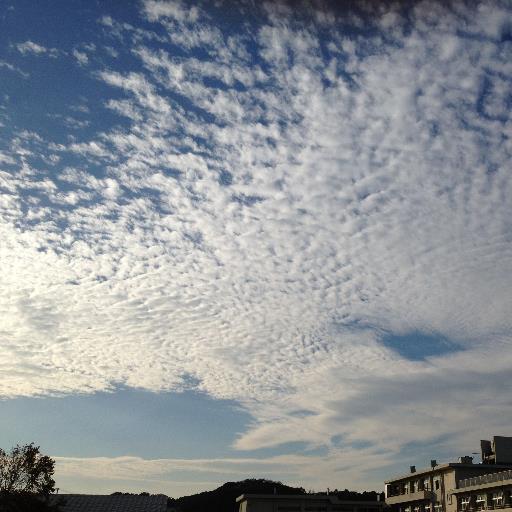 Luckey_drum's profile picture. Healer、Drummer、Acid Black Cherry LOVE♡ yasu LOVE♡