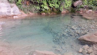 Nashsatti's profile picture. 