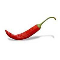 spinningchilli Profile Picture