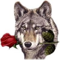Horny Wolf productio (@hornywolfi) 's Twitter Profile