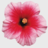 lansbrookallen's profile image