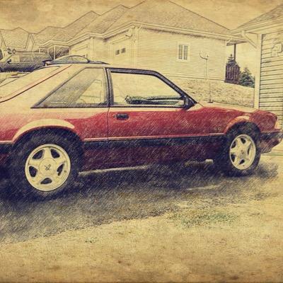 RenegadeSD800's profile picture. 