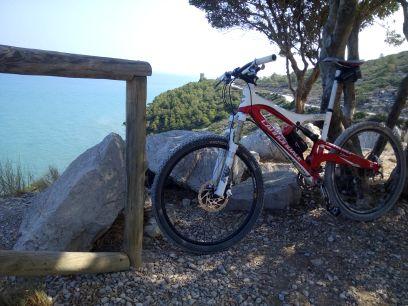 aliasroka's profile picture. 