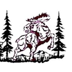 Home of the Alamosa Mean Moose athletics offical twitter feed.