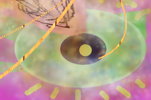 whosonfirst's profile picture. 