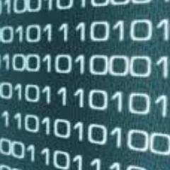 2bitdata's profile picture. 