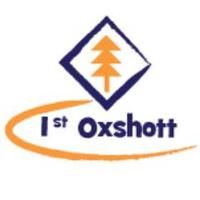1st Oxshott Scouts(@1stOxshott) 's Twitter Profile Photo