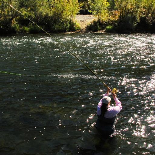 Guiding in the White Mountains including the White Mountain Apache Reservation, Mogollion Rim and Phoenix area.