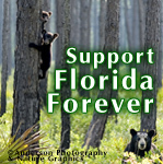 SupportFLA4ever's profile picture. Support Florida Forever!  Note: this is not an official Florida Forever Coalition account.