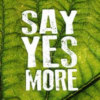 SayYesMore (@theyestribe) 's Twitter Profile