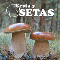 Cesta y Setas(@CestaySetas) 's Twitter Profileg