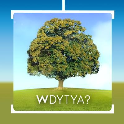 WDYTYA_UK Profile Picture
