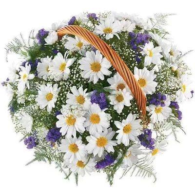 izmir35nehir's profile picture. 