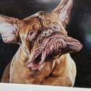 Jacob Nugent - @JacobNugent3 - Twitter